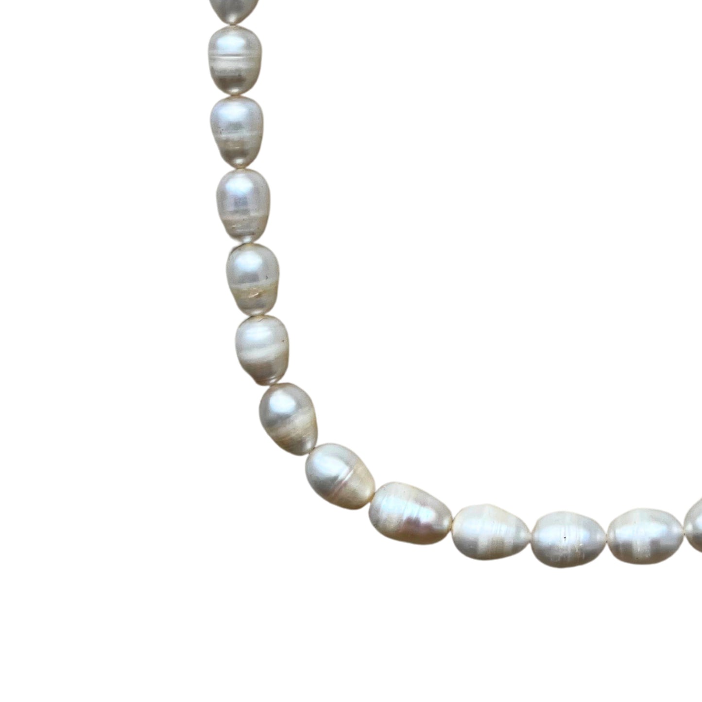 GLORIA – 3er Set